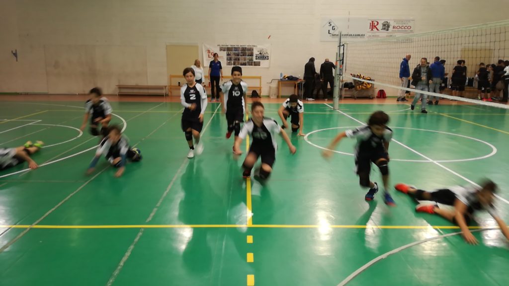 Pallavolo Avis Cernusco Merate U13 del 1 dicembre 2019